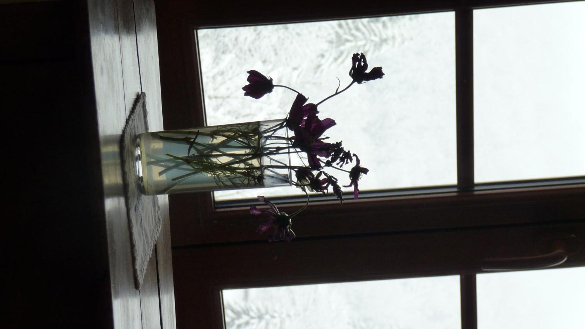 La Chouette A L'Heure Du Pinson Bed & Breakfast Saint-Pierre-d'Entremont  Phòng bức ảnh